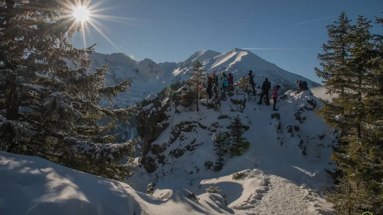 Grupa turystów podziwia zimowe Tatry. Słońce przebija się przez drzewa, tworząc piękne widoki. Idealne miejsce na pierwsze zimowe wędrówki.