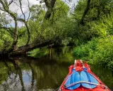 Płyniesz kajakiem przez malownicze Kaszuby. Zielone, bujne drzewa i trzciny tworzą naturalny tunel, a woda odbija ich piękno. Idealne kajaki Kaszuby trasy czekają na odkrycie.