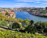 Widok na rzekę Duero i kolorowe dachy Porto. Idealne miejsce, by zobaczyć, co oferuje to miasto.