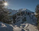 Grupa turystów podziwia zimowe Tatry. Słońce przebija się przez drzewa, tworząc piękne widoki. Idealne miejsce na pierwsze zimowe wędrówki.