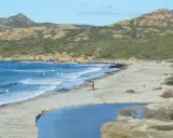 Piękna plaża na Korsyce, idealna na wycieczkę. Błękitne morze, piaszczysty brzeg i skaliste wzgórza tworzą malowniczy krajobraz.