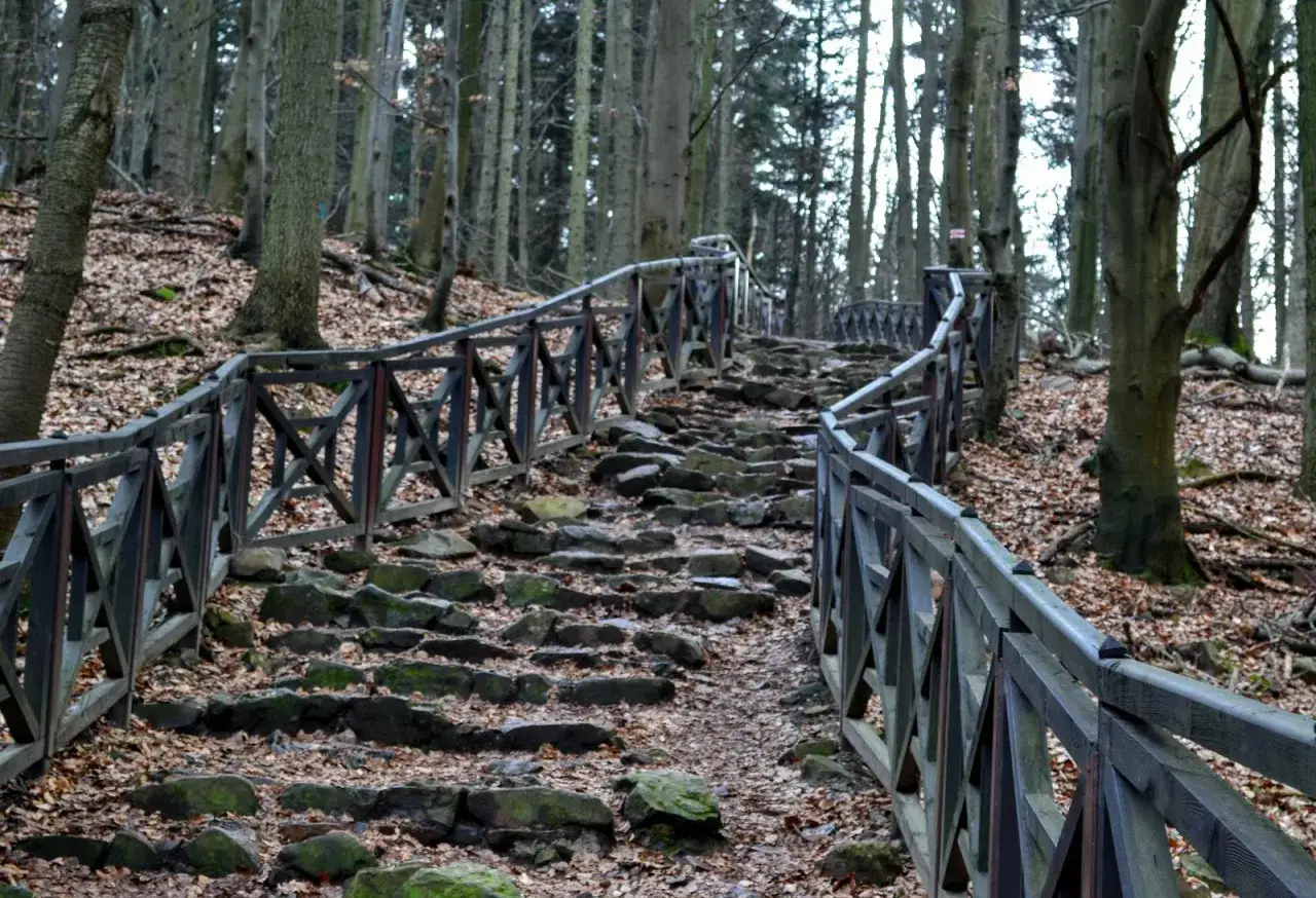Kamienne schody wiją się w górę przez las, otoczone drewnianą balustradą. Liście pokrywają ścieżkę, tworząc jesienny krajobraz. Widok z łysicy zapiera dech w piersiach.