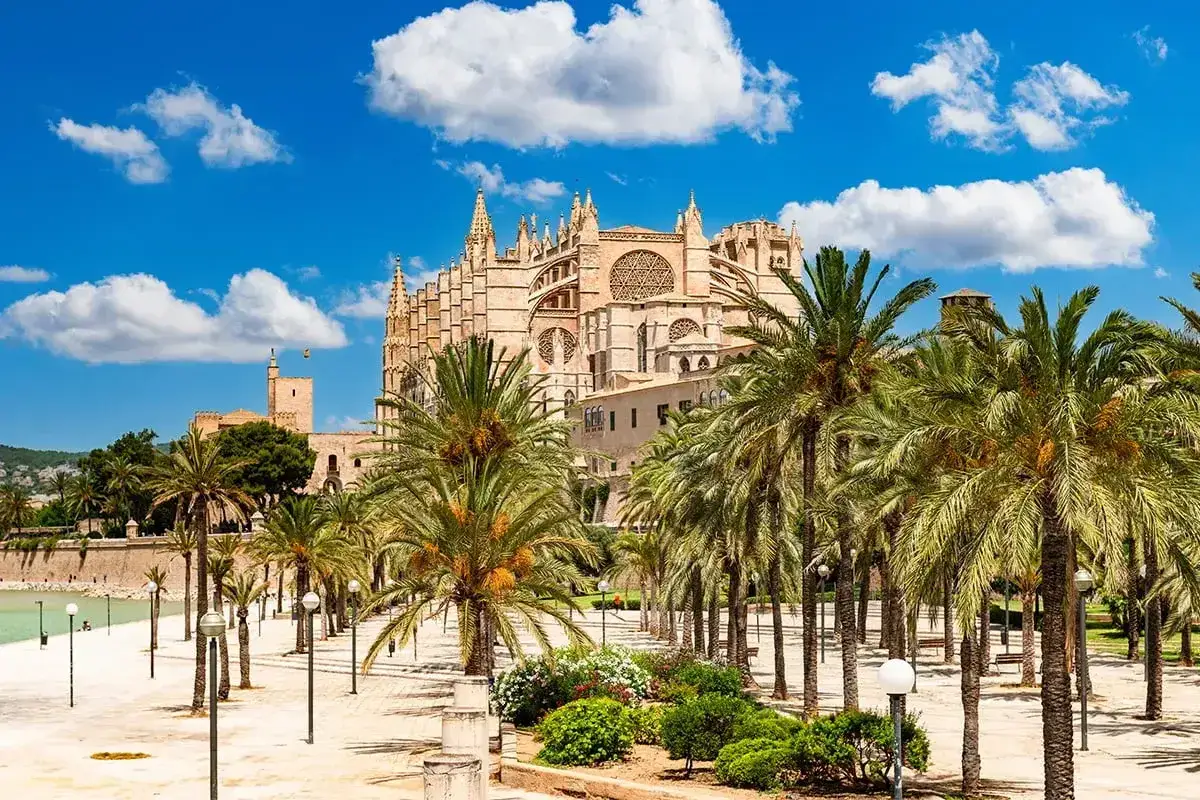 Katedra La Seu i palmy na promenadzie to główne atrakcje, które warto zobaczyć w Palma de Mallorca.