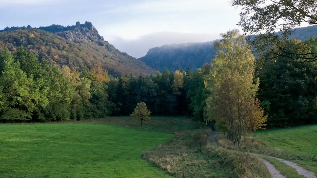 Jesienny krajobraz Gór Izerskich. Skaliste szczyty majaczą w oddali, otoczone lasami w odcieniach zieleni i złota.