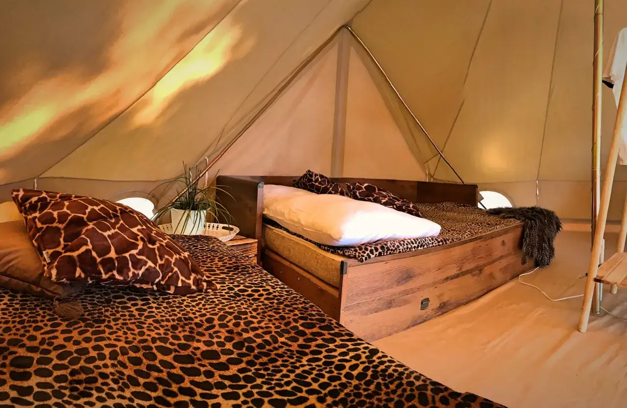 Wnętrze namiotu w stylu safari, z wygodnymi łóżkami i zwierzęcymi wzorami. To jest właśnie glamping – luksusowy kemping.