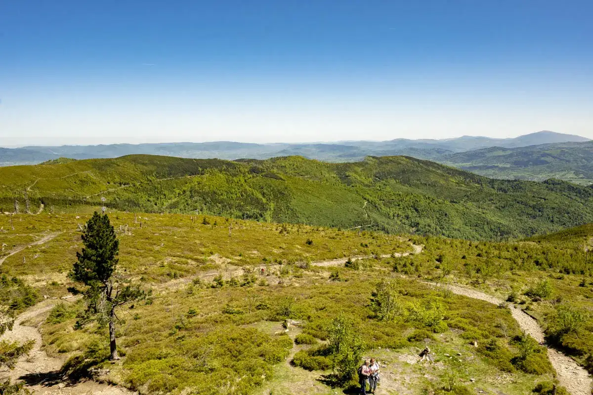Malowniczy szlak na Baranią Górę, wiodący przez zielone wzgórza i lasy. Dwie osoby podziwiają panoramę Beskidów.