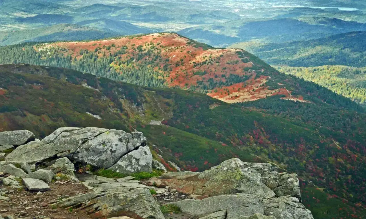 Kamieniste zbocze z widokiem na jesienne beskid niski szczyty. Góry mienią się odcieniami zieleni i czerwieni.
